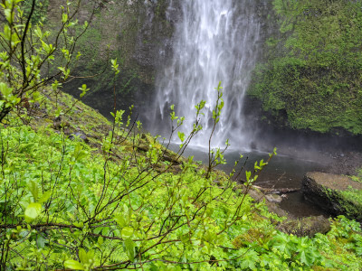 Plant With Waterfall Kristy PXL 20210524 163821022